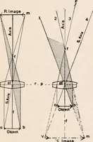 An illustration from The microscope; an introduction to microscopic methods and to histology (1917)