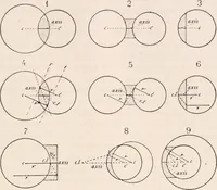 An illustration from The microscope; an introduction to microscopic methods and to histology (1917)