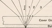 An illustration from The microscope; an introduction to microscopic methods and to histology (1917)