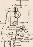 An illustration from The microscope; an introduction to microscopic methods and to histology (1917)