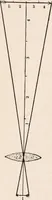 An illustration from The microscope; an introduction to microscopic methods and to histology (1917)