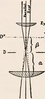 An illustration from The microscope; an introduction to microscopic methods and to histology (1917)