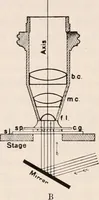 An illustration from The microscope; an introduction to microscopic methods and to histology (1917)
