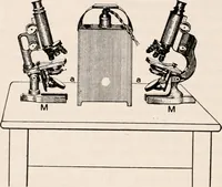 An illustration from The microscope; an introduction to microscopic methods and to histology (1917)