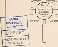 An illustration from The microscope; an introduction to microscopic methods and to histology (1917)