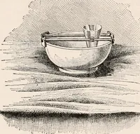 An illustration from The microscope; an introduction to microscopic methods and to histology (1917)
