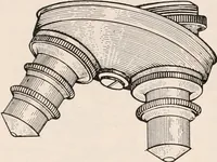 An illustration from The microscope; an introduction to microscopic methods and to histology (1917)