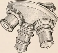 An illustration from The microscope; an introduction to microscopic methods and to histology (1917)