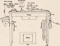 An illustration from The microscope; an introduction to microscopic methods and to histology (1917)