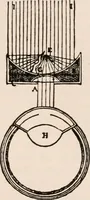 An illustration from The microscope; an introduction to microscopic methods and to histology (1917)