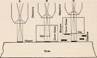An illustration from The microscope; an introduction to microscopic methods and to histology (1917)