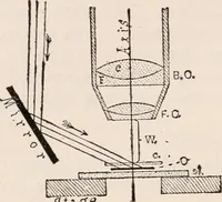 An illustration from The microscope; an introduction to microscopic methods and to histology (1917)