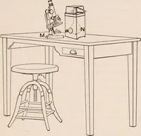 An illustration from The microscope; an introduction to microscopic methods and to histology (1917)