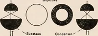 An illustration from The microscope; an introduction to microscopic methods and to histology (1917)