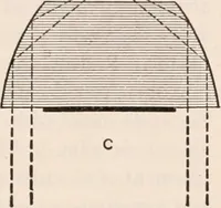 An illustration from The microscope; an introduction to microscopic methods and to histology (1917)