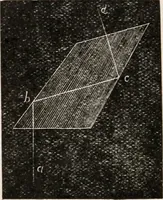 An illustration from The microscope; an introduction to microscopic methods and to histology (1917)