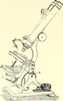 An illustration from The microscope : its construction and management : including technique, photo-micrography, and the past and future of the microscope (1893)