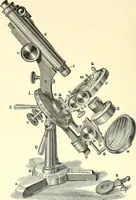 An illustration from The microscope : its construction and management : including technique, photo-micrography, and the past and future of the microscope (1893)