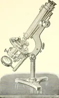 An illustration from The microscope : its construction and management : including technique, photo-micrography, and the past and future of the microscope (1893)