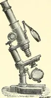 An illustration from The microscope : its construction and management : including technique, photo-micrography, and the past and future of the microscope (1893)