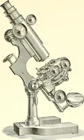 An illustration from The microscope : its construction and management : including technique, photo-micrography, and the past and future of the microscope (1893)