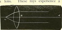 An illustration from The microscope : its construction and management : including technique, photo-micrography, and the past and future of the microscope (1893)