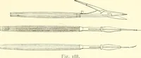 An illustration from The microscope : its construction and management : including technique, photo-micrography, and the past and future of the microscope (1893)