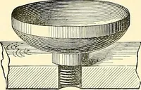 An illustration from The microscope : its construction and management : including technique, photo-micrography, and the past and future of the microscope (1893)