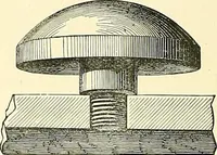 An illustration from The microscope : its construction and management : including technique, photo-micrography, and the past and future of the microscope (1893)