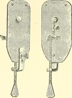 An illustration from The microscope : its construction and management : including technique, photo-micrography, and the past and future of the microscope (1893)