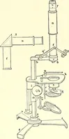 An illustration from The microscope : its construction and management : including technique, photo-micrography, and the past and future of the microscope (1893)