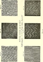 An illustration from The microscope : its construction and management : including technique, photo-micrography, and the past and future of the microscope (1893)