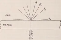 An illustration from The microscope and its revelations (1891)