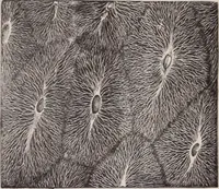 An illustration from The microscope and its revelations (1891)
