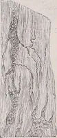 An illustration from The microscope and its revelations (1891)