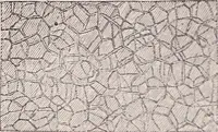 An illustration from The microscope and its revelations (1891)