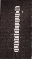 An illustration from The microscope and its revelations (1891)
