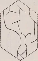 An illustration from The microscope and its revelations (1891)