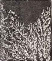 An illustration from The microscope and its revelations (1891)