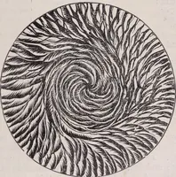 An illustration from The microscope and its revelations (1891)