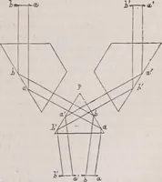 An illustration from The microscope and its revelations (1891)