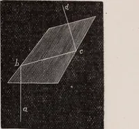 An illustration from The microscope and its revelations (1891)