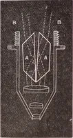An illustration from The microscope and its revelations (1891)