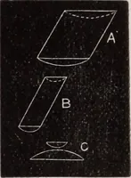 An illustration from The microscope and its revelations (1891)
