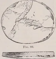 An illustration from The microscope and its revelations (1891)