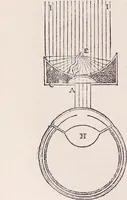An illustration from The microscope and its revelations (1891)