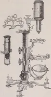 An illustration from The microscope and its revelations (1891)