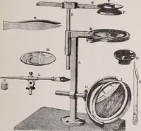 An illustration from The microscope and its revelations (1891)
