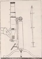 An illustration from The microscope and its revelations (1891)
