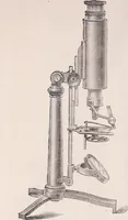 An illustration from The microscope and its revelations (1891)